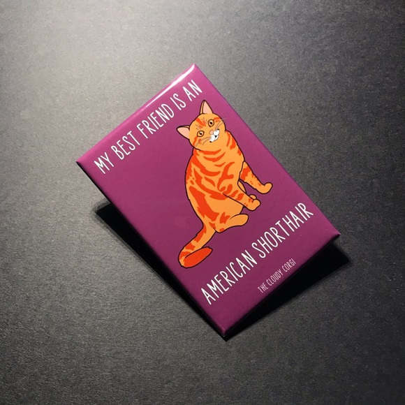 American Shorthair Cat Magnet Handmade Kitty Decor - Picture 4 of 8